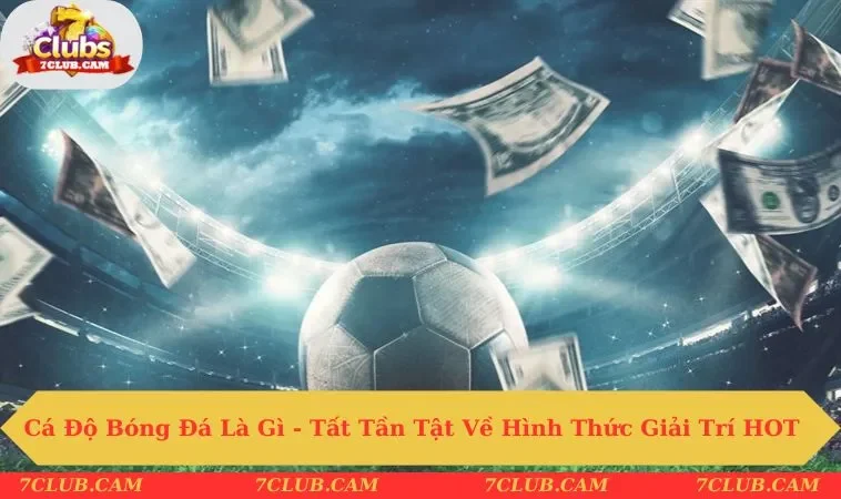 Cá độ bóng đá là gì